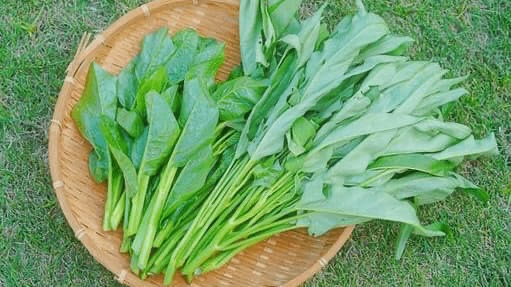 濃い緑色の葉物野菜の画像