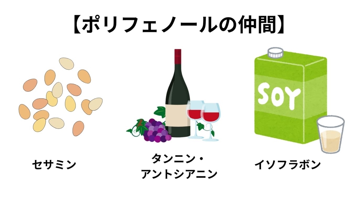 タンニンなど3種のポリフェノールのイラスト画像