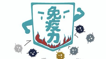 ウィルスと闘う免疫のイメージイラストの画像