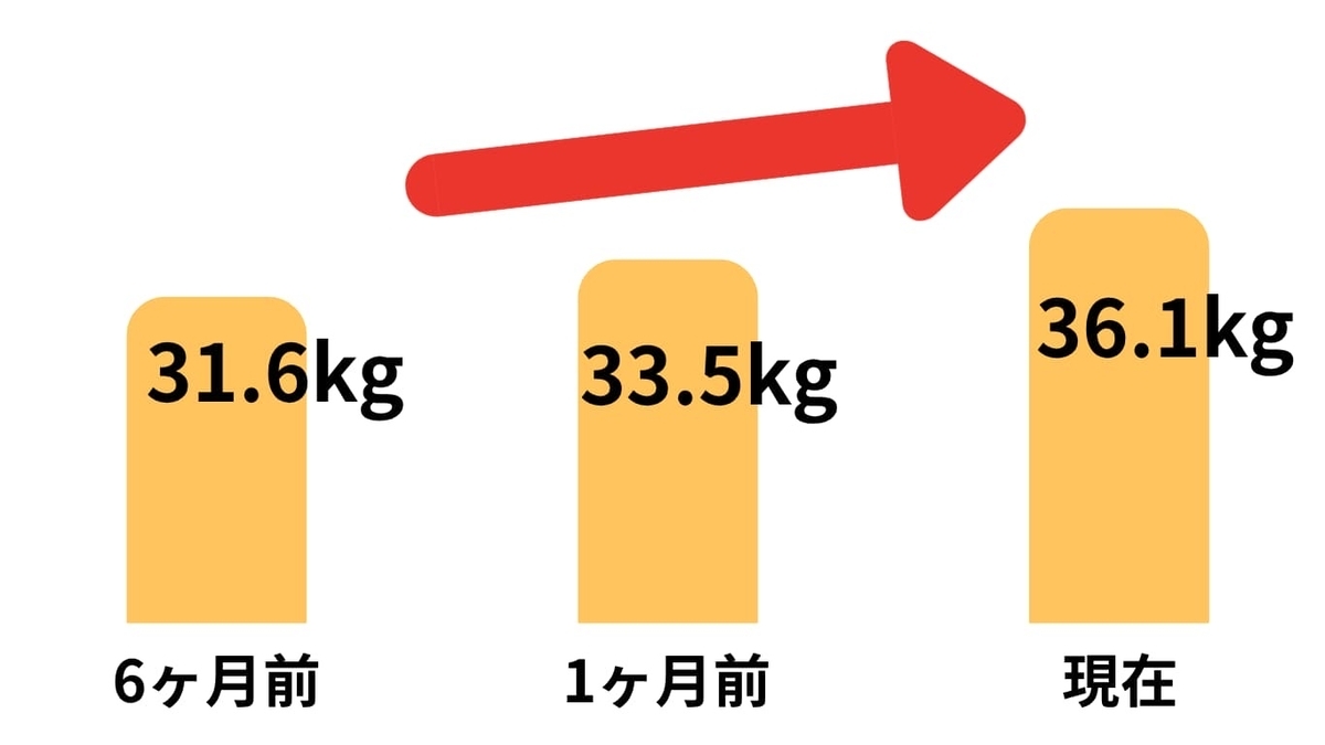 6ヶ月間の筋肉量の変化の棒グラフ