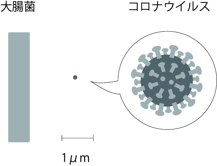 f:id:MM500078:20220208161415j:plain