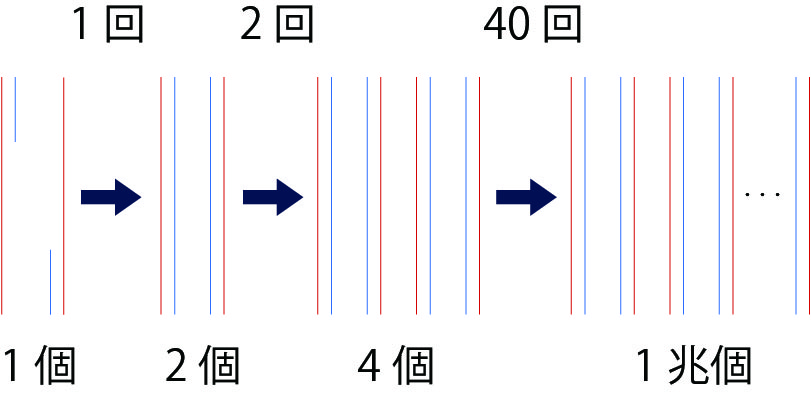 f:id:MM500078:20220208161418j:plain