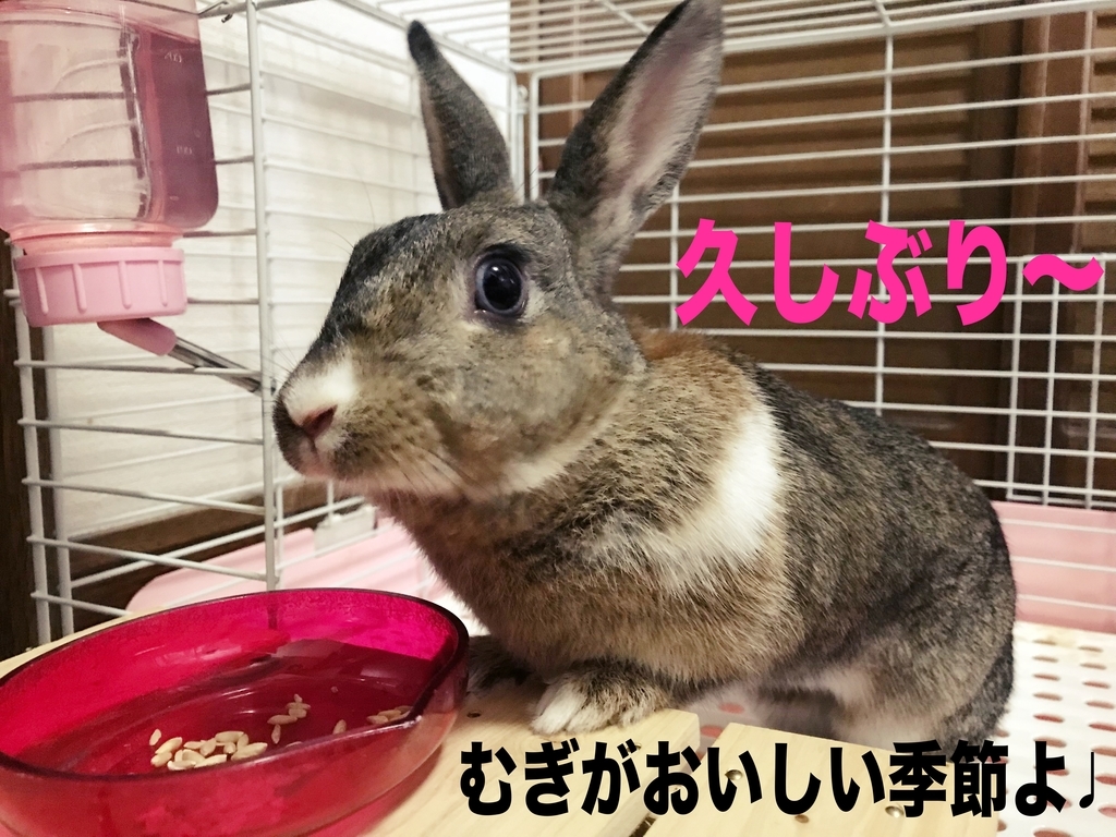 f:id:MOFURI:20181007080543j:plain f:id:MOFURI:20181007080543j:plain