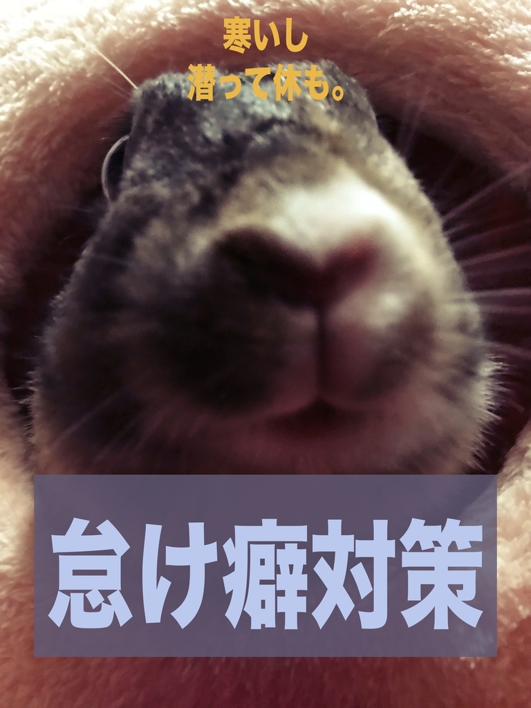 f:id:MOFURI:20181114040712j:plain f:id:MOFURI:20181114040712j:plain