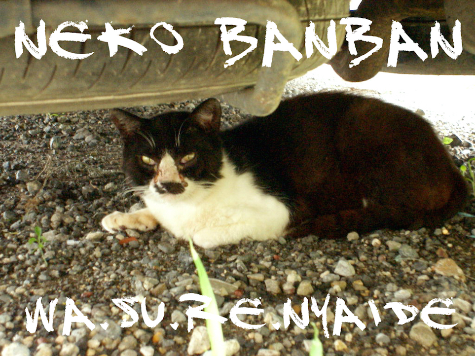 f:id:MOMOJIRI:20170224005648j:plain