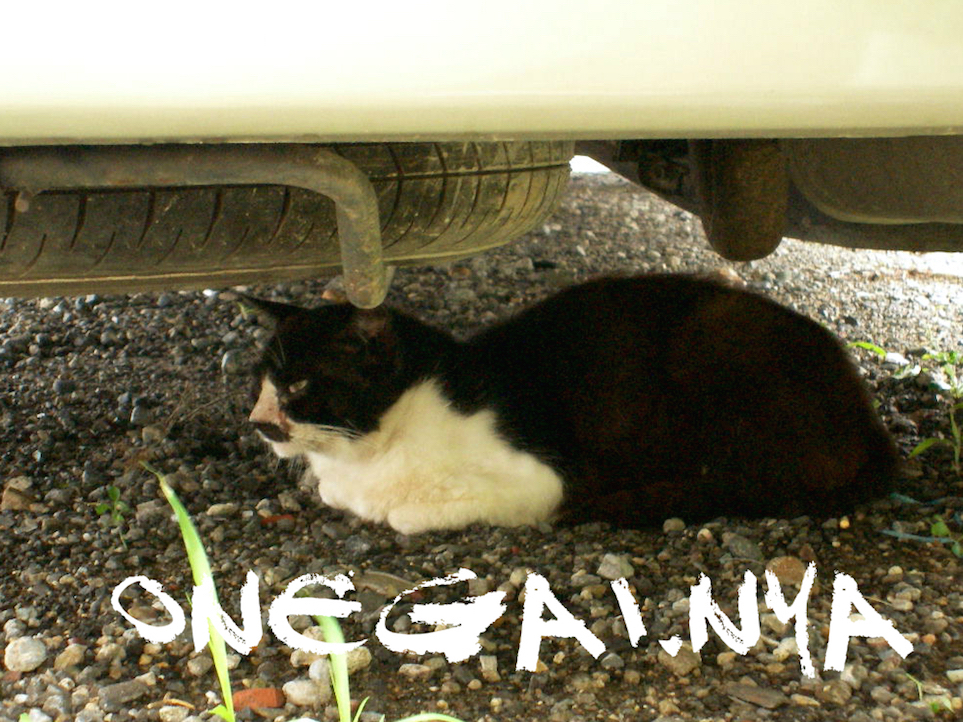 f:id:MOMOJIRI:20170224005717j:plain