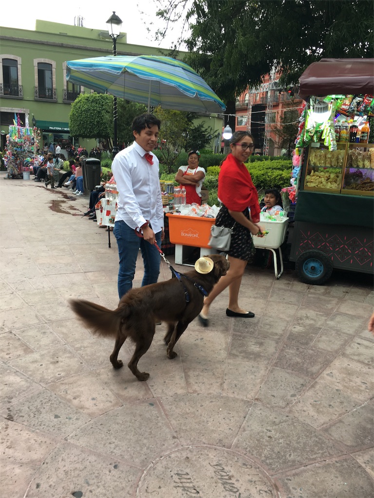 f:id:MONAMONA:20180926112009j:image f:id:MONAMONA:20180926112009j:image