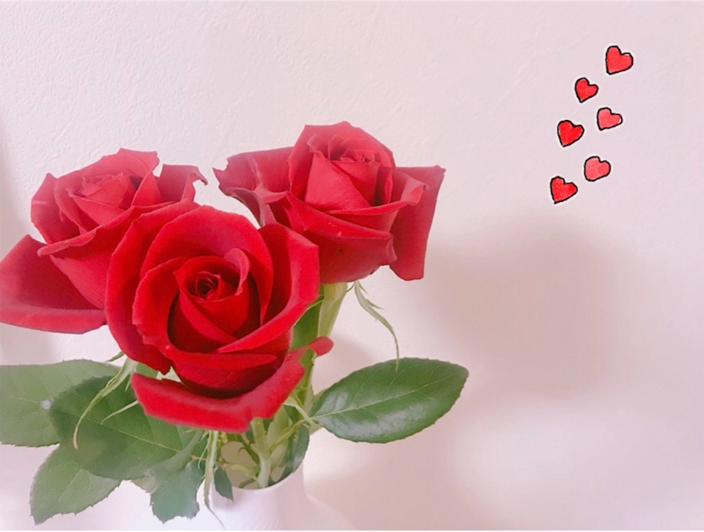 f:id:MOQ3004:20190710143001j:image