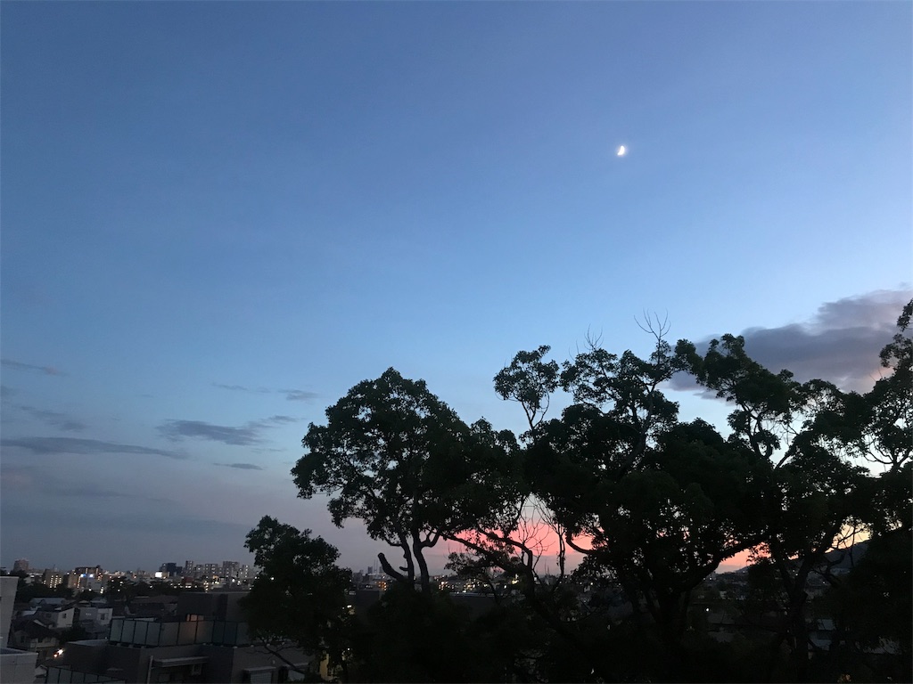 f:id:MOQ3004:20190807123428j:image