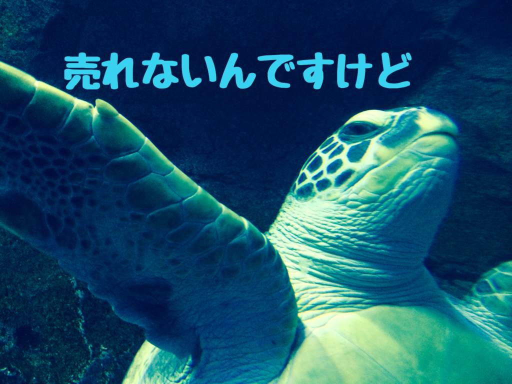 f:id:MORIKO:20180905072326p:plain f:id:MORIKO:20180905072326p:plain