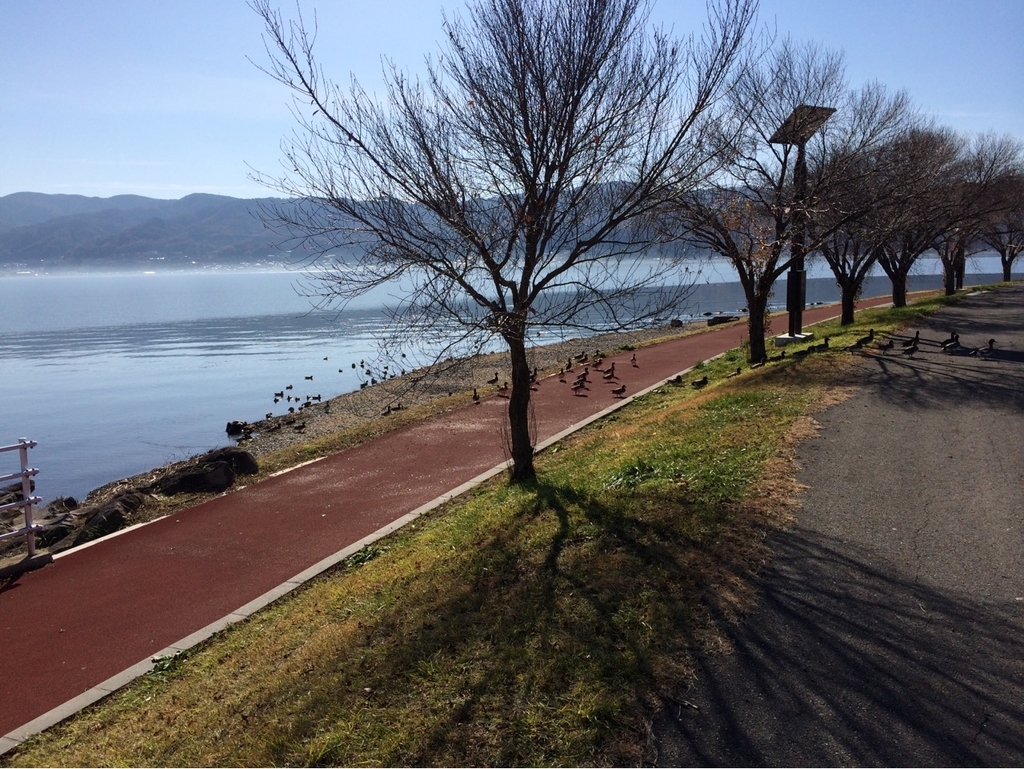 f:id:MORIKO:20181124154611j:plain