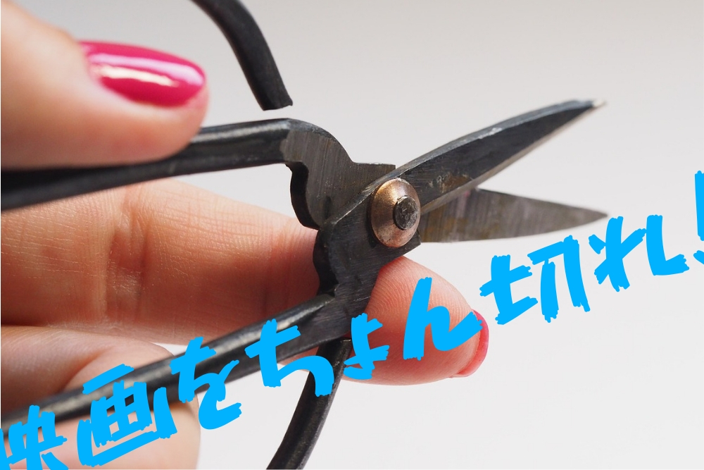 f:id:MORIKO:20190102070116j:plain f:id:MORIKO:20190102070116j:plain