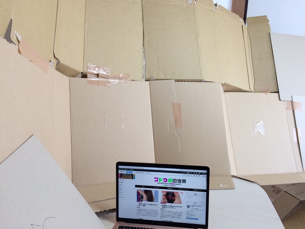 f:id:MORIKO:20190203112715j:plain