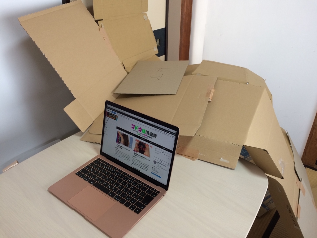 f:id:MORIKO:20190203112750j:plain