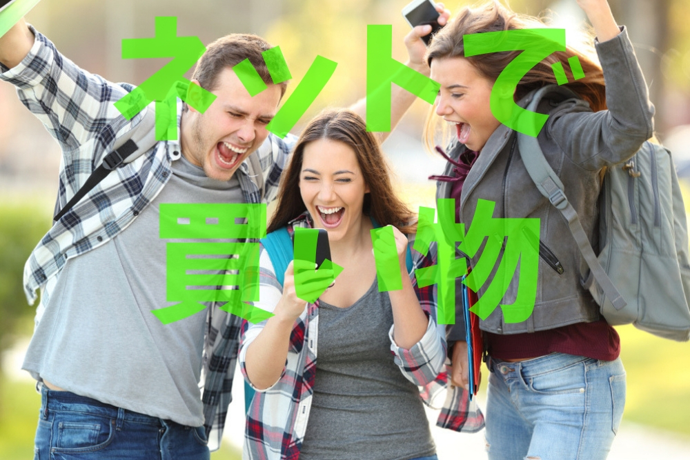 f:id:MORIKO:20190224134811j:plain f:id:MORIKO:20190224134811j:plain