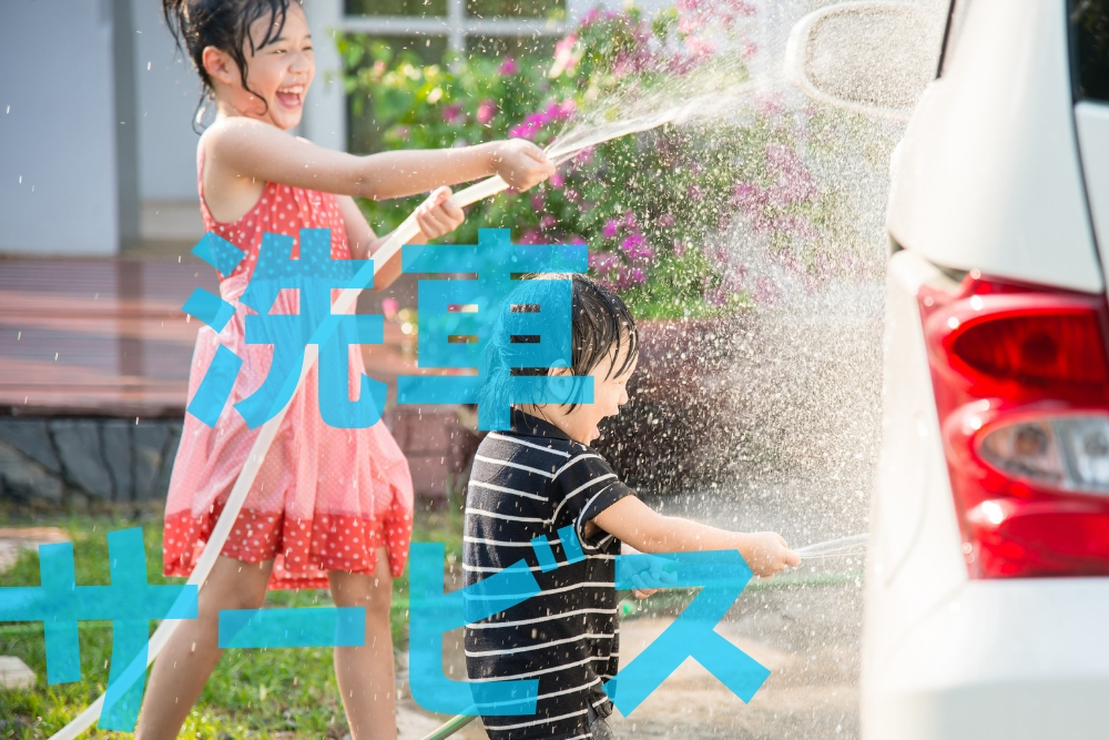 f:id:MORIKO:20190224135203j:plain f:id:MORIKO:20190224135203j:plain