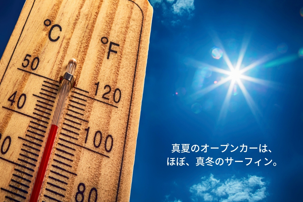 f:id:MORIKO:20190315081140j:plain f:id:MORIKO:20190315081140j:plain