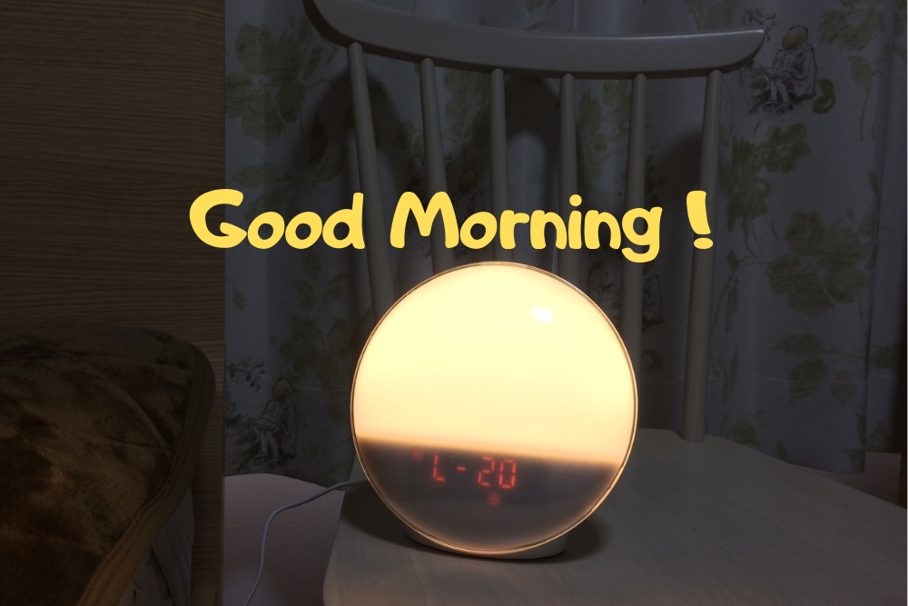 f:id:MORIKO:20190330112426p:plain f:id:MORIKO:20190330112426p:plain