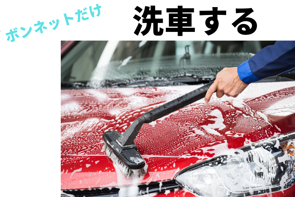 f:id:MORIKO:20190401061042p:plain