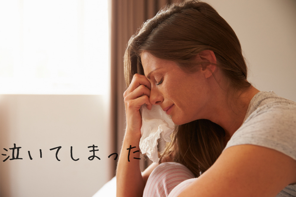 f:id:MORIKO:20190407065316p:plain