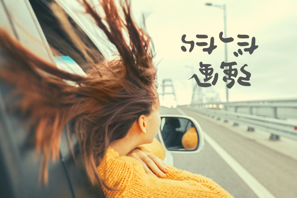f:id:MORIKO:20190411194935p:plain