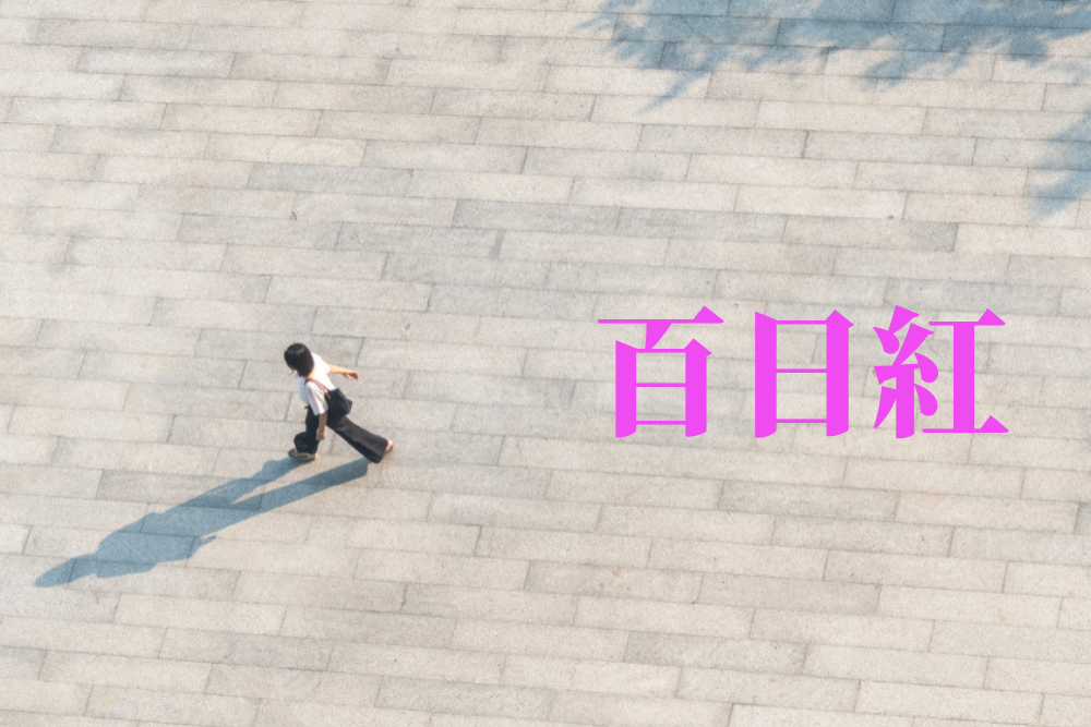 f:id:MORIKO:20190501064245p:plain f:id:MORIKO:20190501064245p:plain