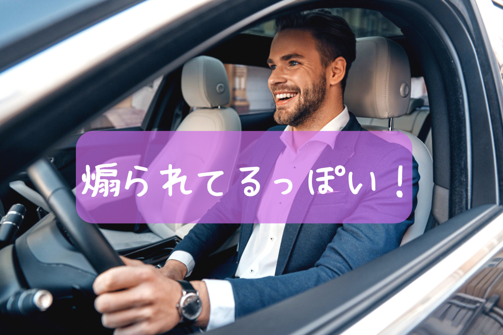 f:id:MORIKO:20190612183107p:plain