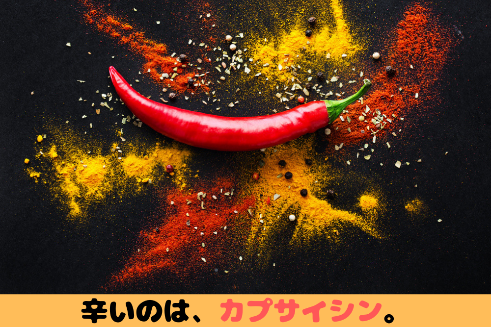 辛い食べ物っておしりの痛みがツラくないですか ブドウ糖の浪費 辛い食べ物っておしりの痛みがツラくないですか ブドウ糖の浪費