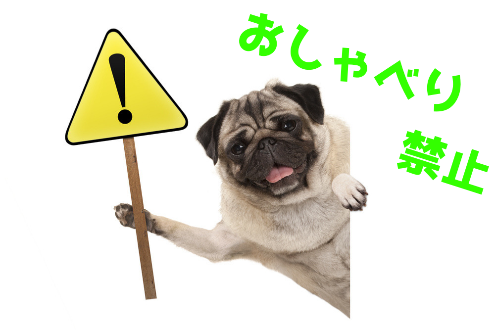 f:id:MORIKO:20190729064229p:plain