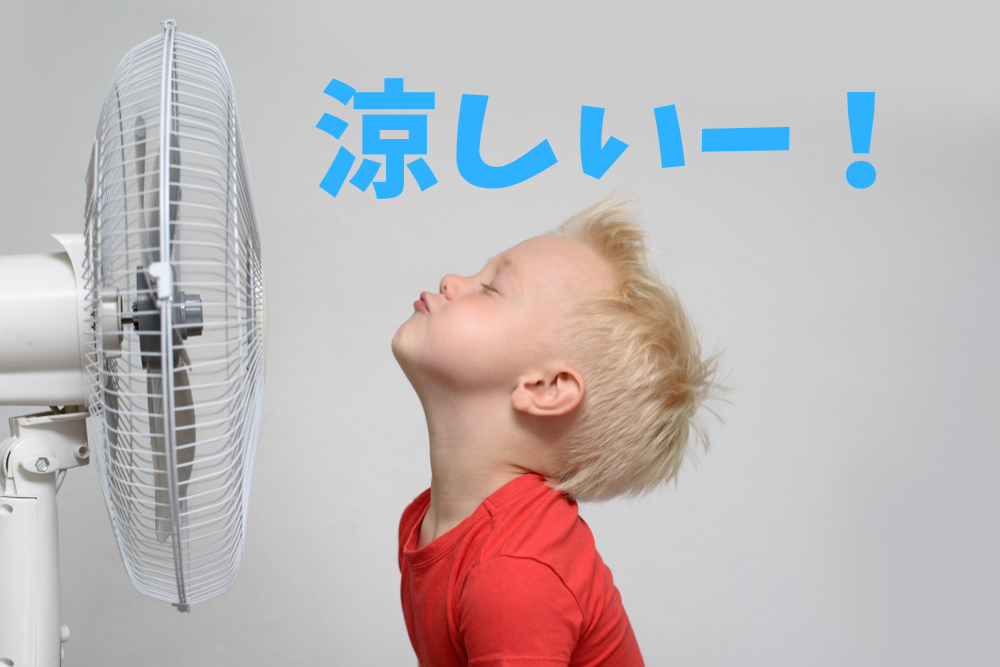 f:id:MORIKO:20190819095303p:plain