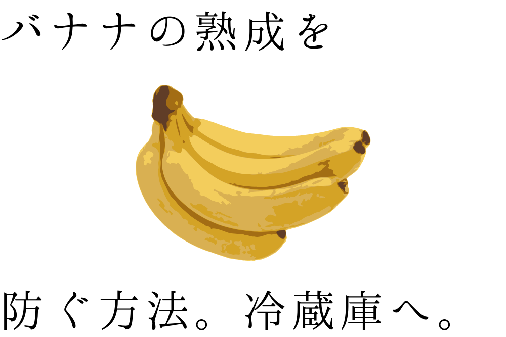 f:id:MORIKO:20190911094701p:plain f:id:MORIKO:20190911094701p:plain