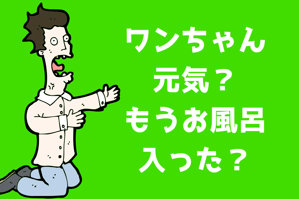f:id:MORIKO:20190921091202p:plain f:id:MORIKO:20190921091202p:plain