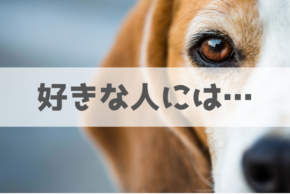 f:id:MORIKO:20191118215647p:plain f:id:MORIKO:20191118215647p:plain