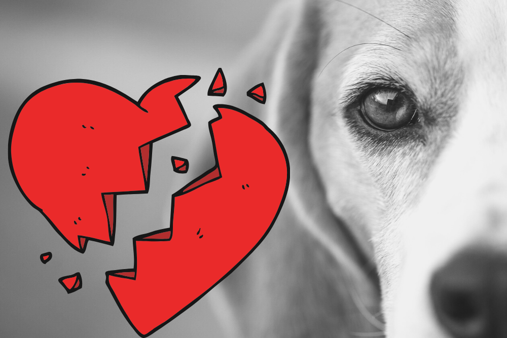 f:id:MORIKO:20191118222410p:plain f:id:MORIKO:20191118222410p:plain