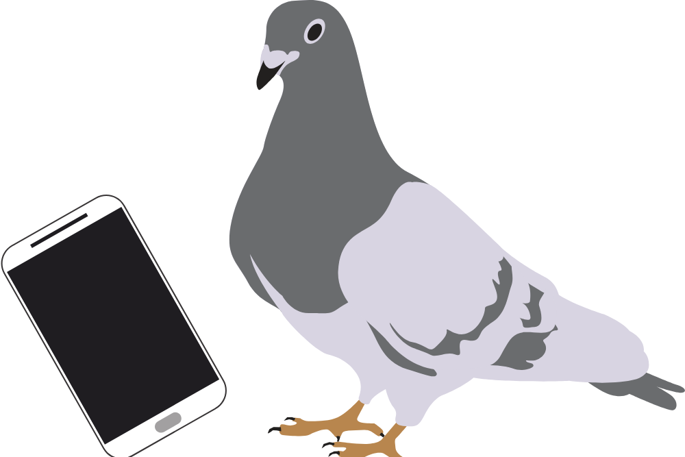 f:id:MORIKO:20191120141337p:plain