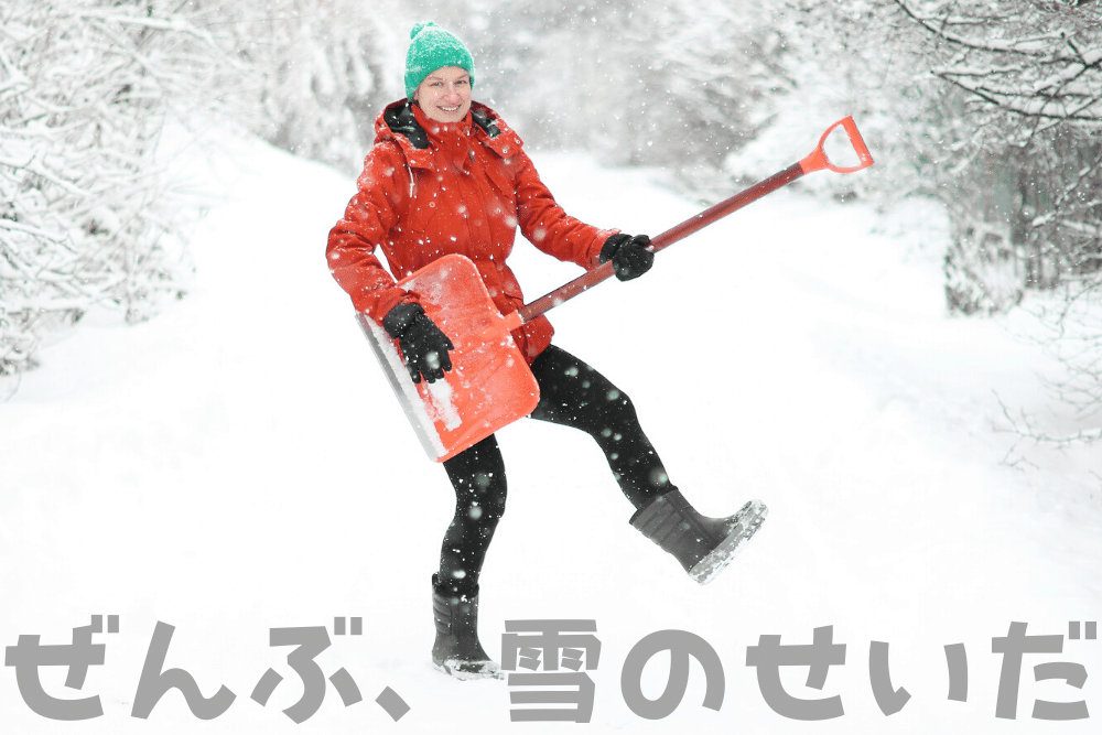 f:id:MORIKO:20191230151526p:plain