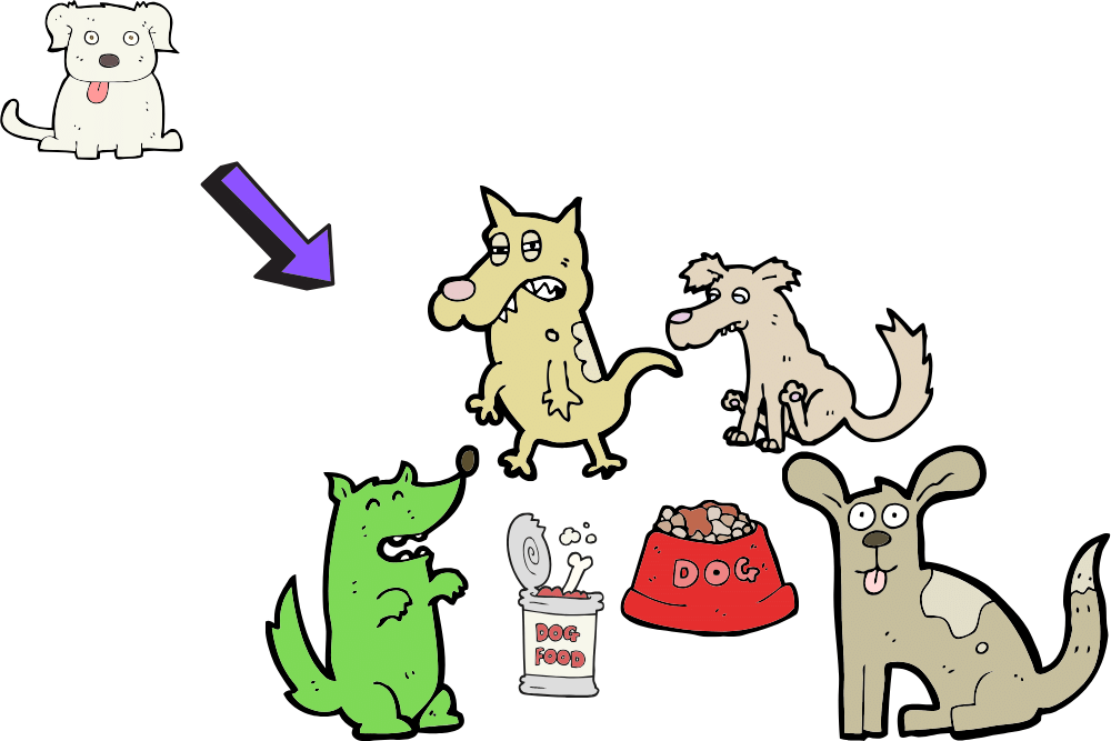 f:id:MORIKO:20200206201232p:plain f:id:MORIKO:20200206201232p:plain