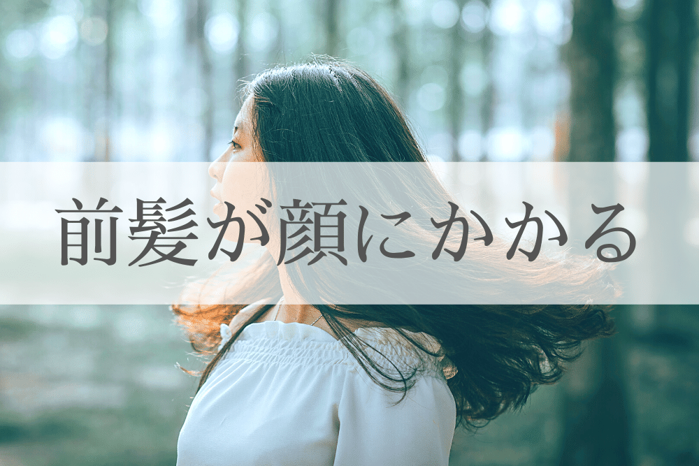 f:id:MORIKO:20200322212316p:plain