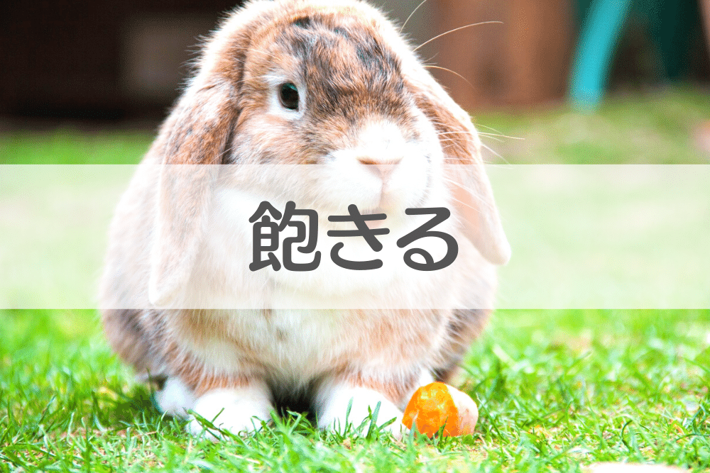 f:id:MORIKO:20200325143645p:plain