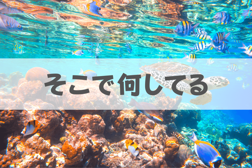 f:id:MORIKO:20200519130930p:plain f:id:MORIKO:20200519130930p:plain