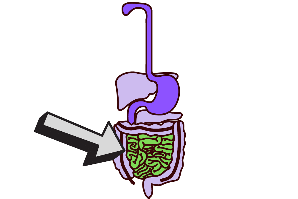 f:id:MORIKO:20200818150005p:plain f:id:MORIKO:20200818150005p:plain