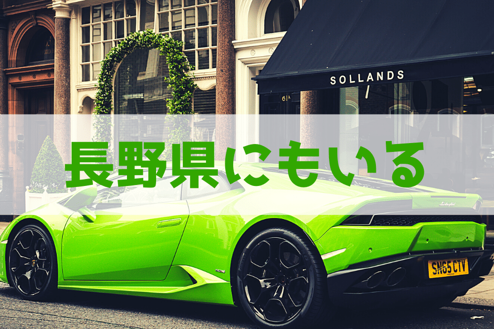 長野県にもスーパーカーは走ってる 長野 松本 諏訪ナンバーの高級車たち ブドウ糖の浪費 長野県にもスーパーカーは走ってる 長野 松本 諏訪ナンバーの高級車たち ブドウ糖の浪費