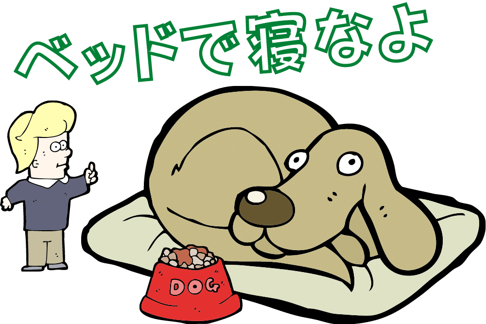 f:id:MORIKO:20201209204230p:plain