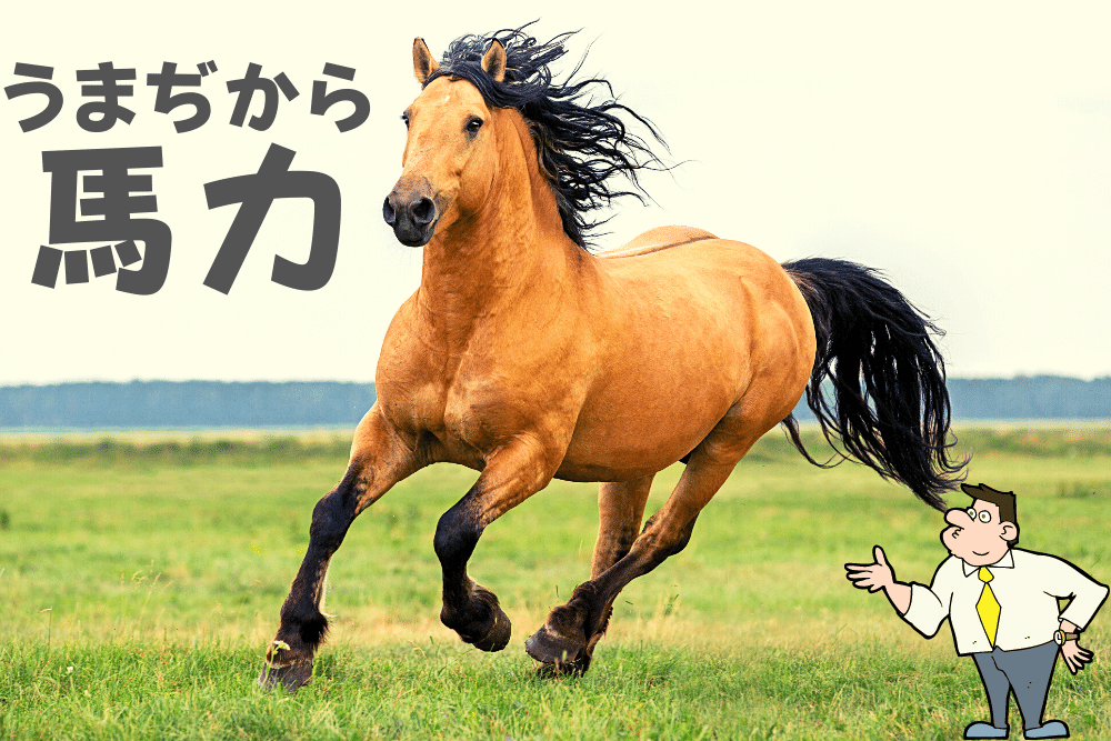 f:id:MORIKO:20201217180008p:plain