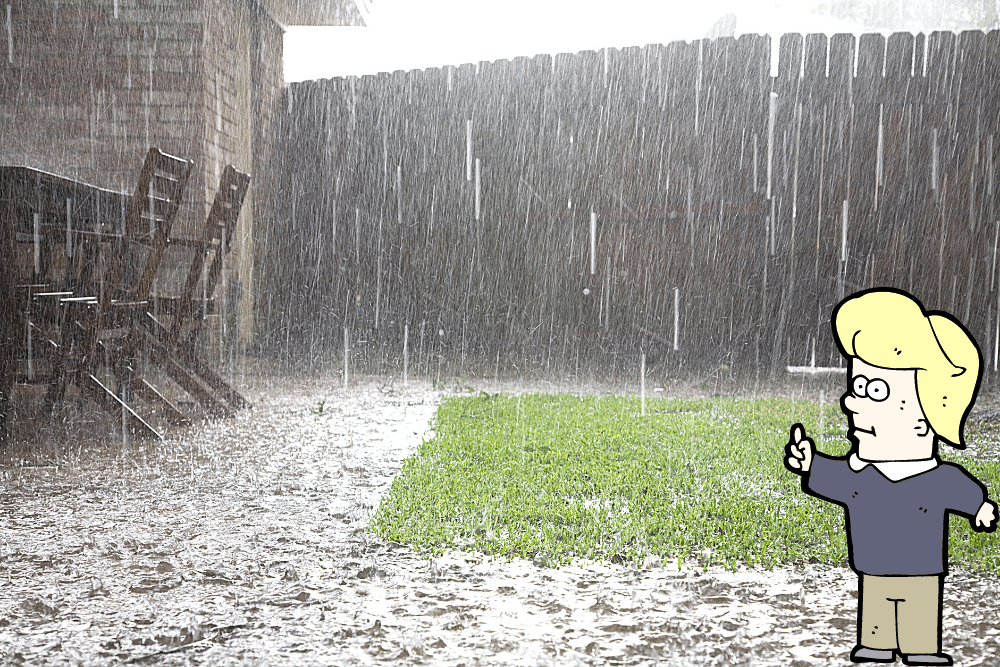 f:id:MORIKO:20210205090613p:plain