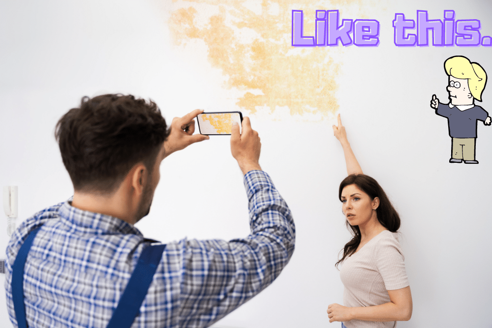 f:id:MORIKO:20210212111800p:plain