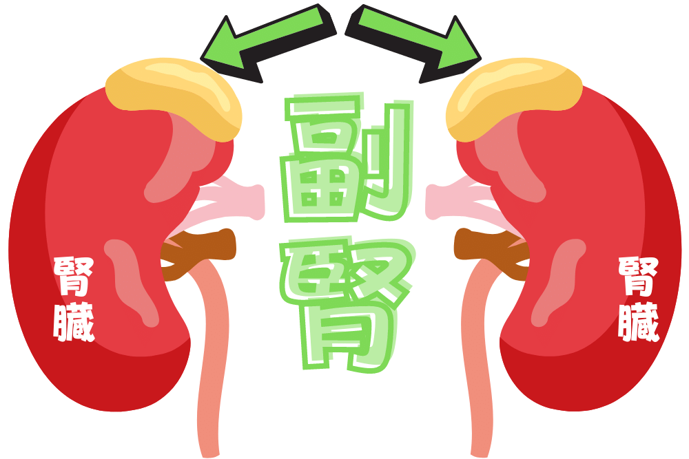 f:id:MORIKO:20210326191133p:plain