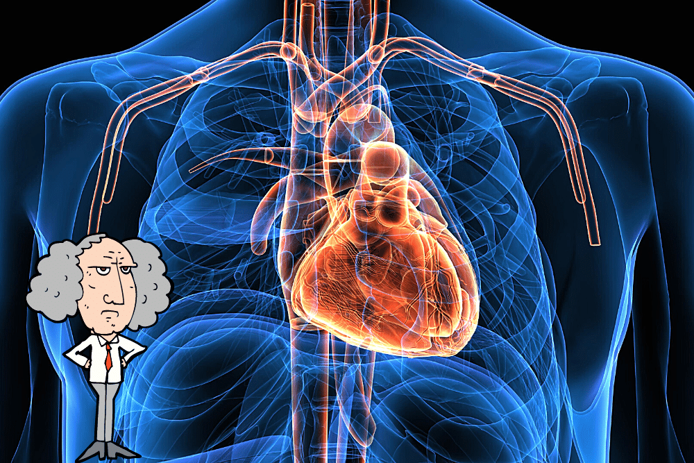 f:id:MORIKO:20210326193140p:plain