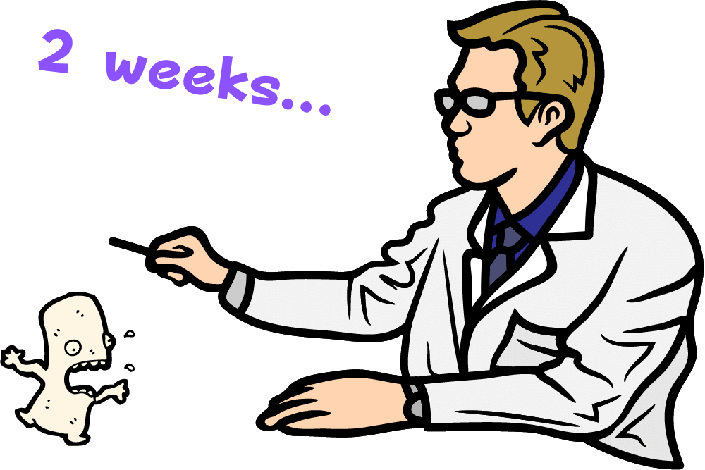 f:id:MORIKO:20210419163251p:plain