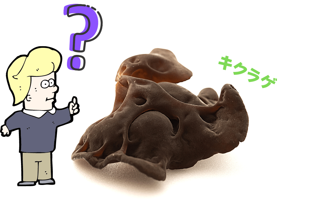 f:id:MORIKO:20210422170357p:plain